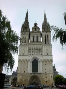 Angers - Fachada de la Catedral de San Mauricio y ramas de los árboles
