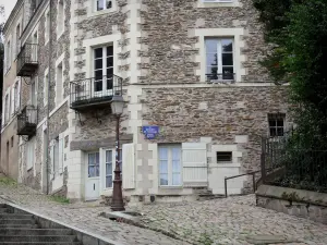 Angers - Escalera aumento de St. Maurice, poste de luz, suelos de piedra y casas en el casco antiguo