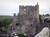 Angles-sur-l'Anglin - Ruines du château fort (forteresse médiévale) dominant la rivière Anglin, maisons du village et arbres