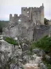 Angles-sur-l'Anglin - Ruïnes van het kasteel (middeleeuwse burcht)
