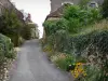 Angles-sur-l'Anglin - Ruelle du village bordée de fleurs et de maisons