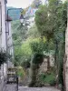 Angles-sur-l'Anglin - Sloping narrow paved street (la Cueille) leading to the low city (banks of the Anglin river)