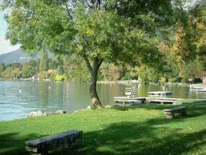 Meer van Annecy - Gazon met bankjes, bomen door het meer en bos in de herfst