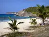Anse-Bertrand - Laborde baai strand met wit zand, palmbomen en uitzicht op de kliffen