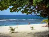 Anse-Bertrand - Witte zandstrand van Anse Laborde met uitzicht op de Caribische Zee