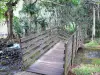 Anse des Cascades - Pequena passarela de madeira e floresta de vacoas