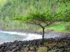 Anse des Cascades cove