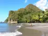 Anse Céron - Plage de l'anse Céron bordée de cocotiers et d'arbres, avec des vacanciers se baignant dans la mer ; sur la commune du Prêcheur