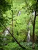 Anse des Cascades - 在一个绿色设置的小瀑布