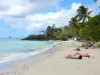 Anse Figuier - Détente sur la plage de sable de l'anse Figuier, avec vue sur la mer des Caraïbes et le rocher du Diamant en arrière-plan 