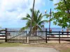 Anse Figuier - Uitzicht op de Caribische strand en de zee vanaf het openluchtmuseum de tuin van Martinique
