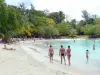 Anse Figuier - Détente sur la plage de sable et baignade dans la mer des Caraïbes