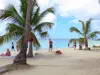 Anse Figuier - Geplant zandstrand met palmbomen met uitzicht op de Caribische Zee