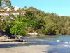 Anse à l'ne - Casas com vista para a praia de Anse à l'ne