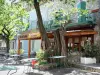Antraigues-sur-Volane - Terrasse de café ombragée d'arbres et façades du village