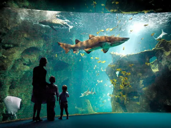 Das Aquarium in La Rochelle - Führer für Tourismus, Urlaub & Wochenende in der Charente-Maritime