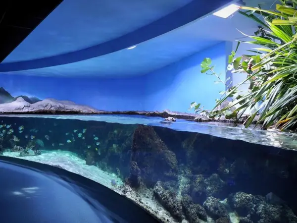 La Galerie des Lumières de l'aquarium de La Rochelle - Ocim
