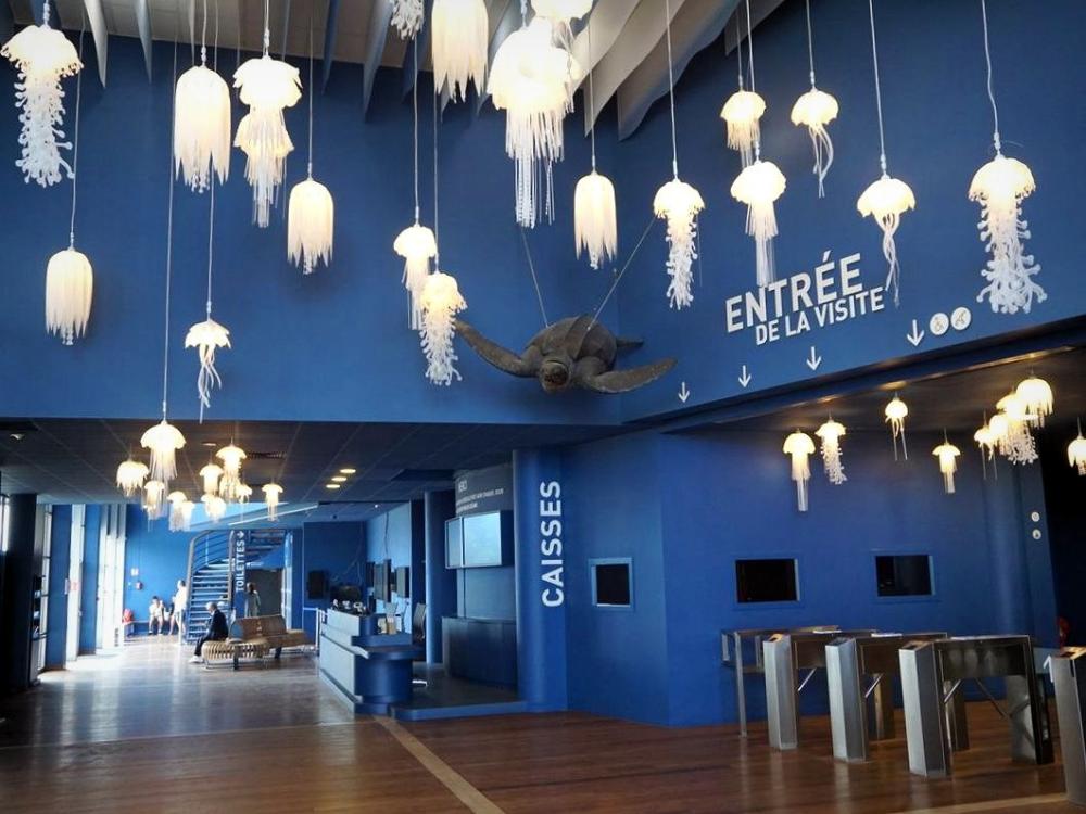 Photos L'Aquarium de La Rochelle Guide Tourisme & Vacances