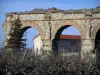 Aqueduc romain du Gier - Arches (vestiges) de l'aqueduc, à Chaponost