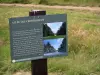 Arboretum de Versailles-Chèvreloup - Panneau du parcours découverte portant sur l'allée des Cèdres Bleus