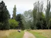 Arboretum of Versailles-Chèvreloup - Path through the arboretum