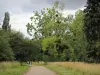 Arboretum de Versailles-Chèvreloup - Balade au cœur de l'Arboretum