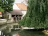 Arc-en-Barrois - Rivière Aujon, lavoir fleuri et arbre au bord de l'eau