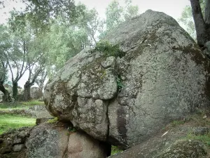 Archäologische Stätte Filitosa - Grosser Felsen und Bäume