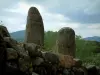 Archeologische site van Filitosa - Stenen, staande stenen met gebeeldhouwde gezichten, bomen en heuvels in de verte