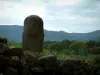 Archeologische site van Filitosa - Stones, menhir standbeeld gebeeldhouwd gezicht, de bomen en heuvels in de verte