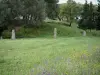 Archeologische site van Filitosa - Afstemming van de staande stenen in een weiland bezaaid met bloemen, bomen op de achtergrond