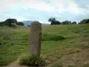 Archeologische site van Filitosa - Menhir standbeeld gesneden in zijn gezicht in een weiland bezaaid met bloemen, bomen en heuvels in de verte