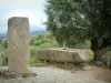 Archeologische site van Filitosa - Gesneden staande stenen, bomen en heuvels op de achtergrond