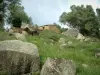 Archeologische site van Filitosa - Rocks, gras, bomen en stenen huis