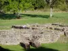 Archeologische site van Fontaines Salées - Gallo-Romeinse ruïnes