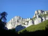 Archiane rock formations - Vercors Regional Nature Park: panorama of the cliffs surrounded by greenery