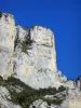 Archiane rock formations - Vercors Regional Nature Park: view of a cliff surrounded by greenery