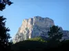 Archiane rock formations - Vercors Regional Nature Park: cliffs overlooking the vegetation