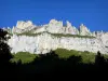 Archiane rock formations - Vercors Regional Nature Park: cliffs surrounded by greenery