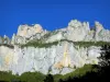 Archiane rock formations - Vercors Regional Nature Park: view of the cliffs of the cirque