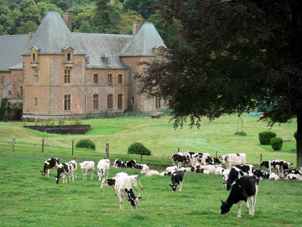 Guide des Ardennes - Chartreuse du Mont-Dieu - Vue sur le grand corps de logis, avec un troupeau de vaches dans une prairie en premier plan