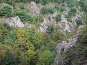 Ardes - Gorges van de Couze Ardes, in het Regionaal Natuurpark van de Auvergne Vulkanen