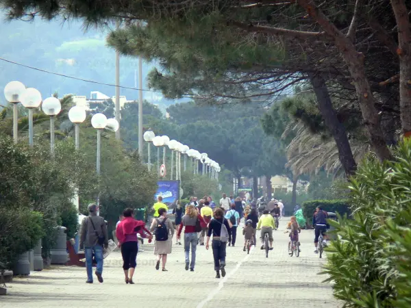 Argelès-sur-Mer - Camine por el paseo marítimo del árbol en la localidad costera