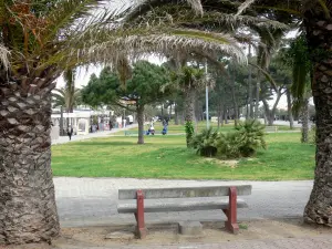 Argelès-sur-Mer - Bench rodeado de palmeras y pinos