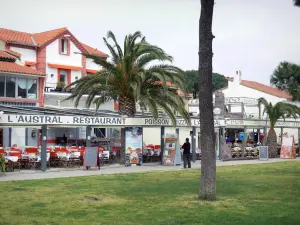 Argelès-sur-Mer - Terrazas de los restaurantes en el complejo