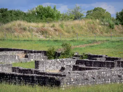 Argentomagusの考古学的な場所