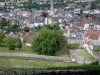 Argenton-sur-Creuse - Depuis la terrasse de la chapelle de la Bonne-Dame, vue sur le clocher de l'église Saint-Sauveur et les maisons de la vieille ville en contrebas