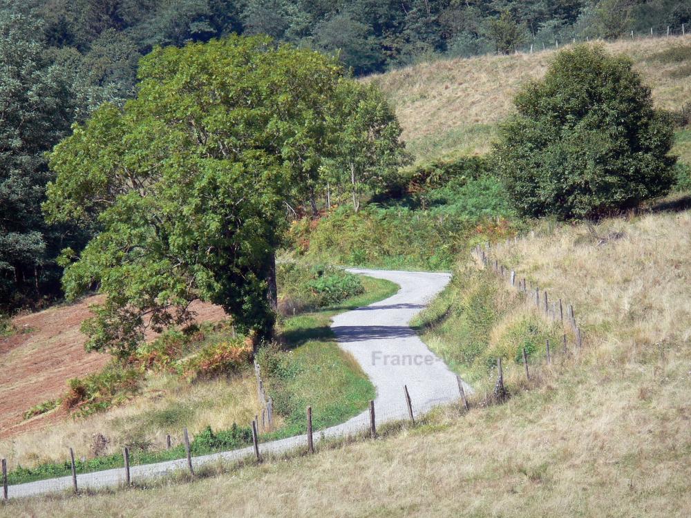 Guide de l'Ariège - Massif du Plantaurel - Petite route bordée d'herbages et d'arbres ; dans le Parc Naturel Régional des Pyrénées Ariégeoises