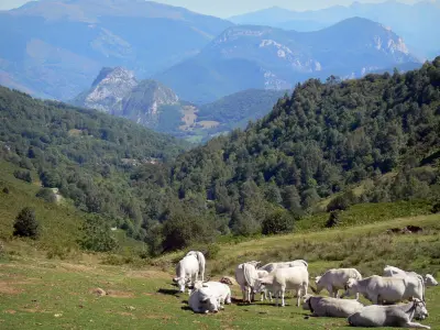 Ariège Landschaften