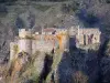 Arlempdes - Resti del castello medievale arroccato su un picco roccioso